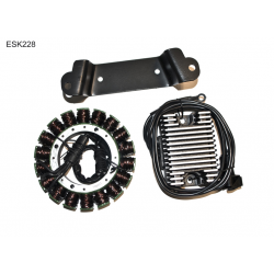 ELECTROSPORT UZWOJENIE ALTERNATORA (STATOR) KIT HD, HARLEY DAVIDSON EVO TOURING (97-98)