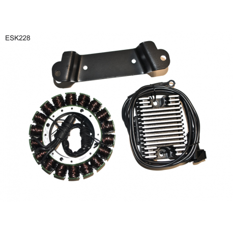 ELECTROSPORT UZWOJENIE ALTERNATORA (STATOR) KIT HD, HARLEY DAVIDSON EVO TOURING (97-98)