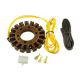 ELECTREX UZWOJENIE ALTERNATORA STATOR YAMAHA XTZ 660/750, KAWASAKI ZZR 600
